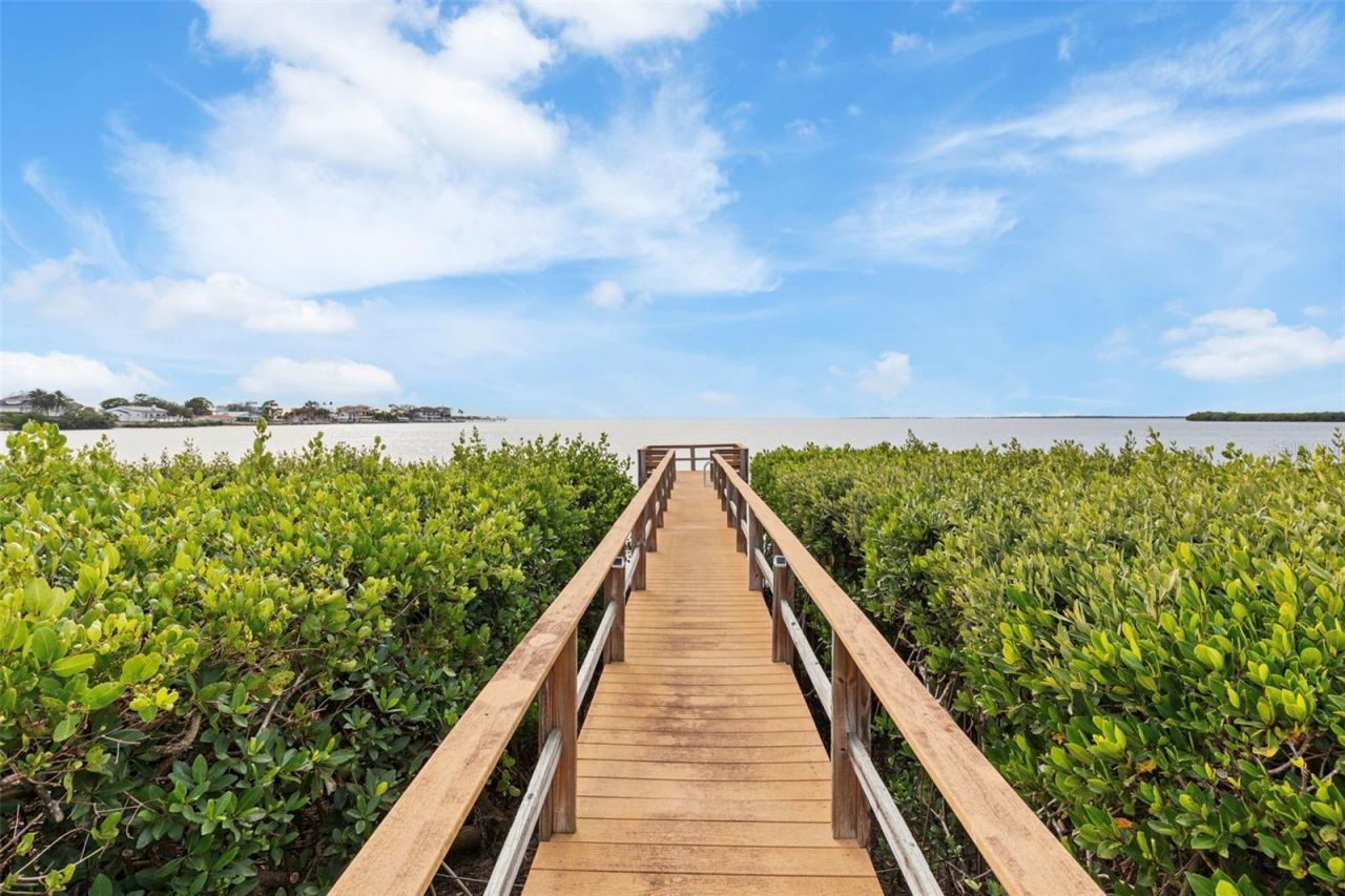 2115 Alexis Court, Tarpon Springs, FL 34689 Photo