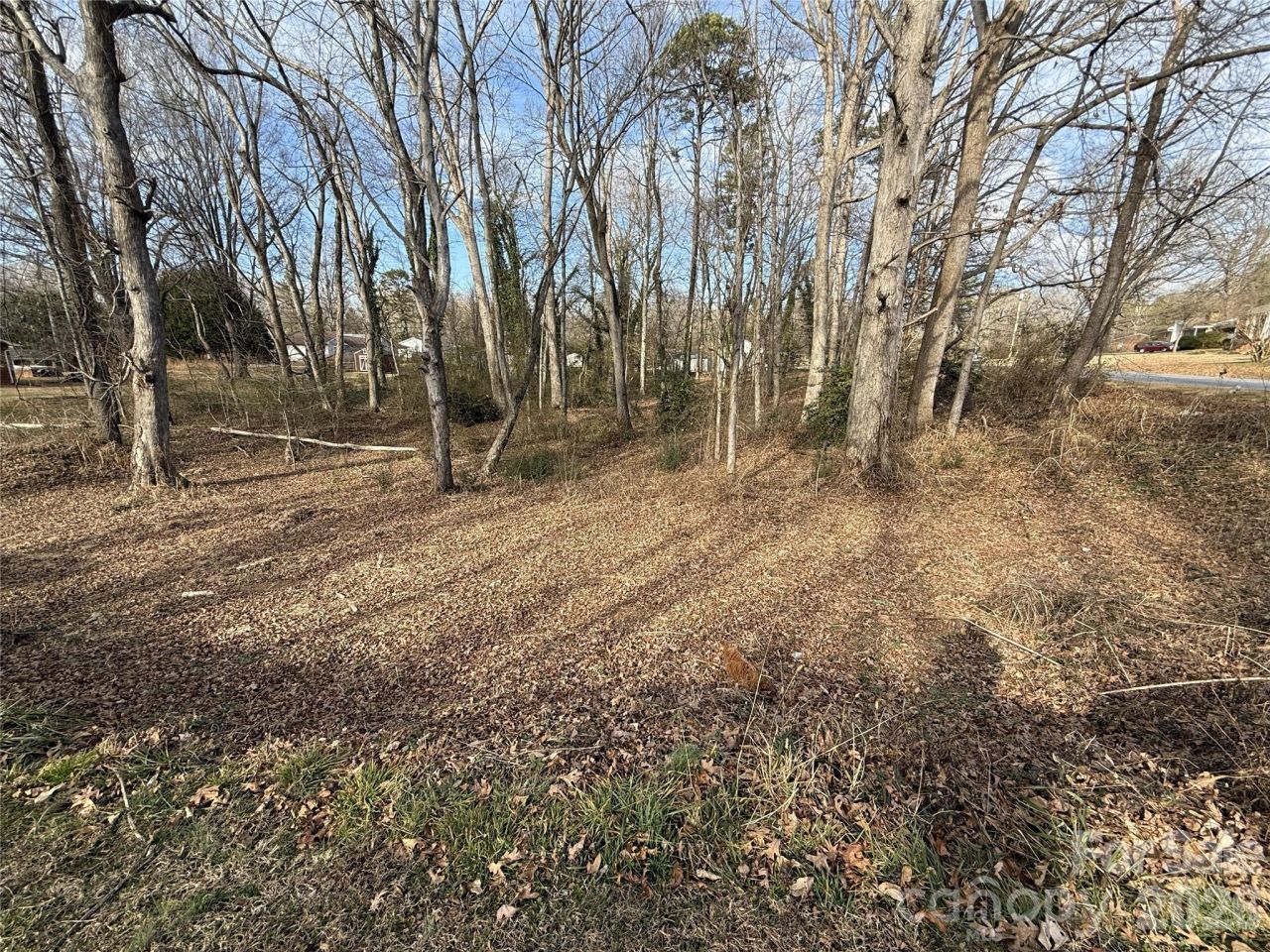 Lot 10&11 Buffalo Shoals Road, Statesville, NC 28677 Main Photo