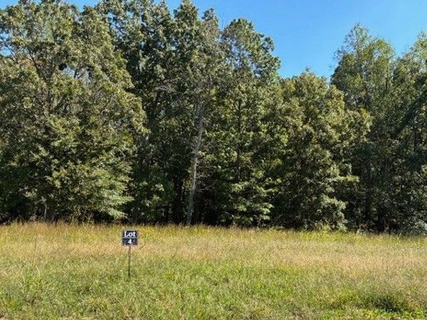 3218 Hunziker Lane , Fairview, TN 37062