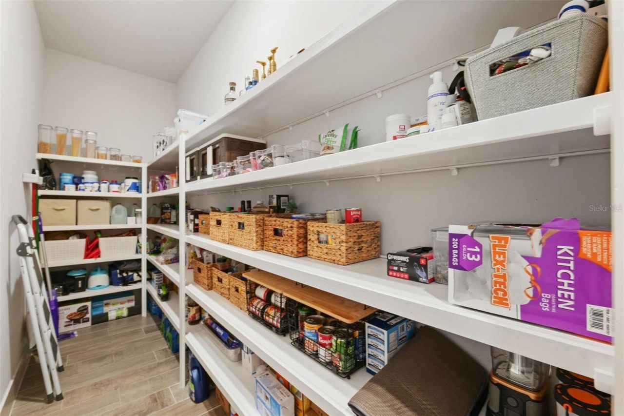 8684 Sanders Tree Loop, Wesley Chapel, FL 33545 Photo