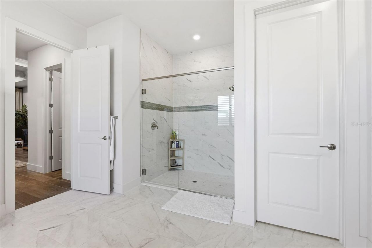 8684 Sanders Tree Loop, Wesley Chapel, FL 33545 Photo