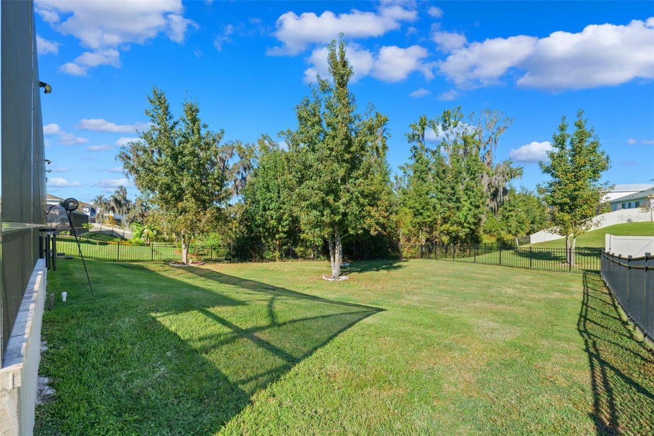 8684 Sanders Tree Loop, Wesley Chapel, FL 33545 Photo