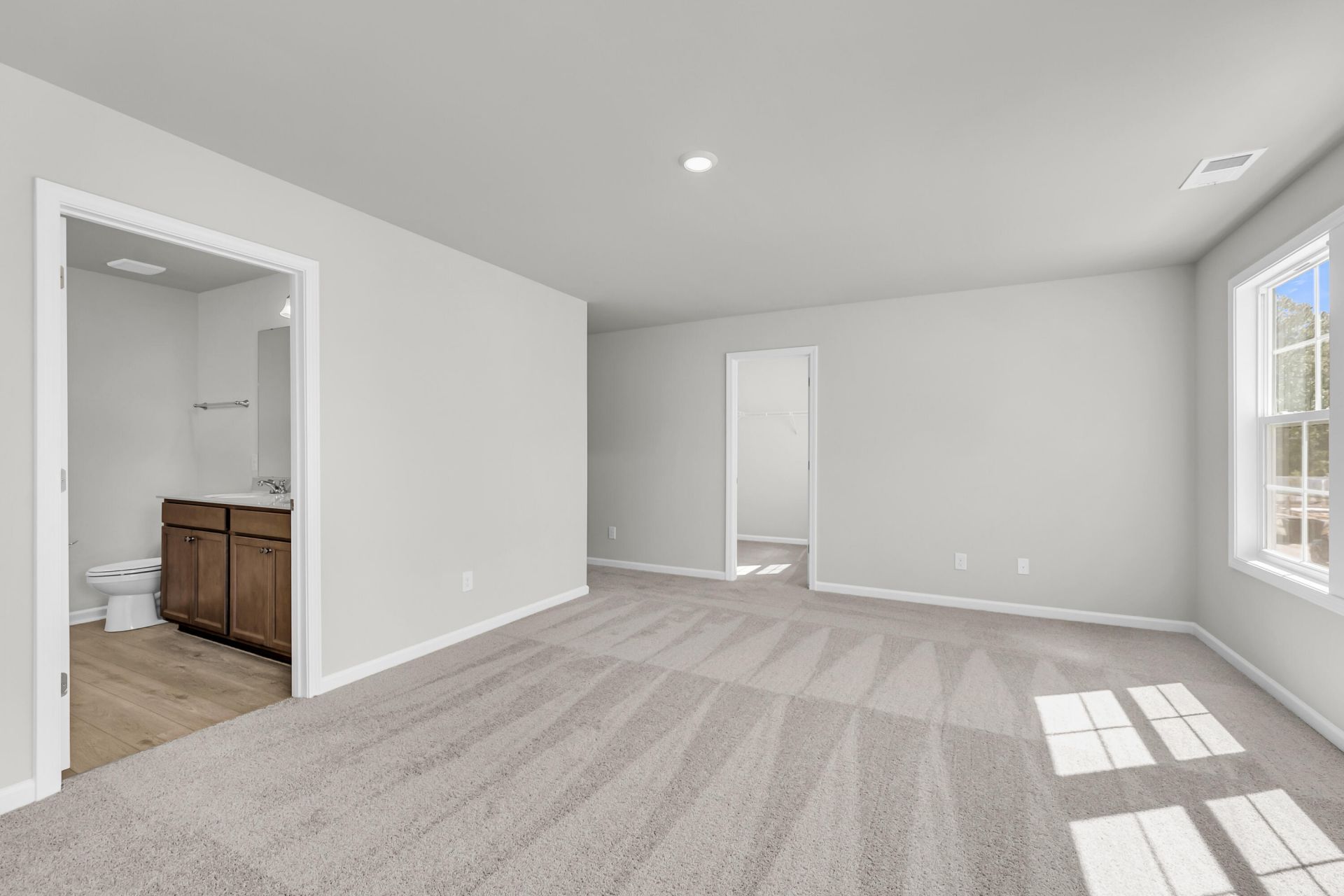 222 Central Creek Drive Photo 15