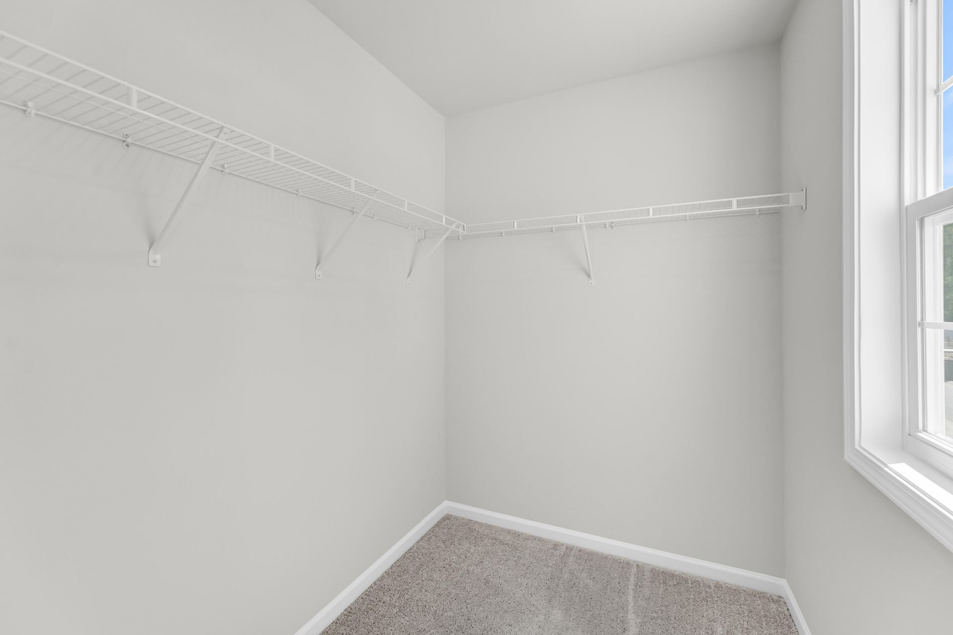 222 Central Creek Drive Photo 17