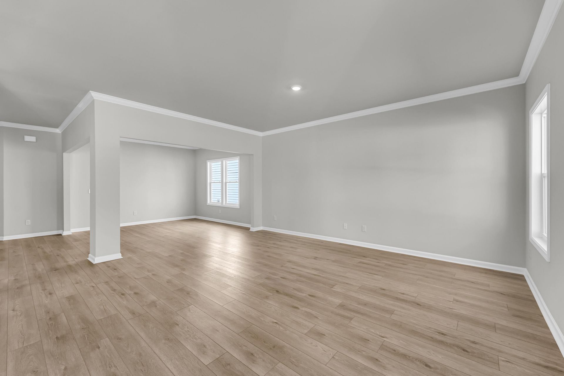 222 Central Creek Drive Photo 5