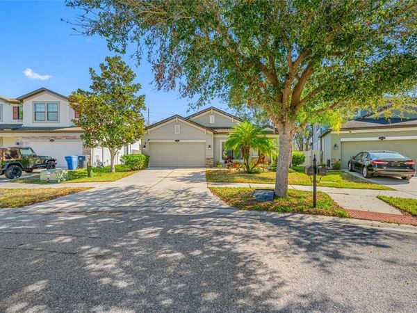 11652 PALMETTO PINE STREET, RIVERVIEW, FL 33569