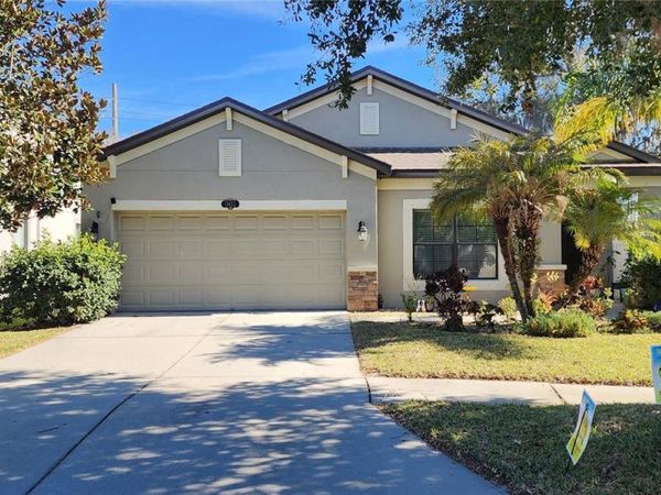 11652 PALMETTO PINE STREET, RIVERVIEW, FL 33569