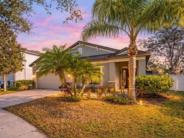 11652 PALMETTO PINE STREET, RIVERVIEW, FL 33569