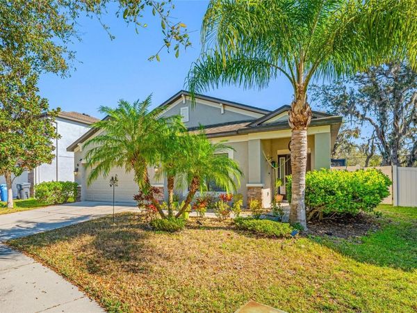 11652 PALMETTO PINE STREET, RIVERVIEW, FL 33569