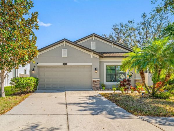 11652 PALMETTO PINE STREET, RIVERVIEW, FL 33569