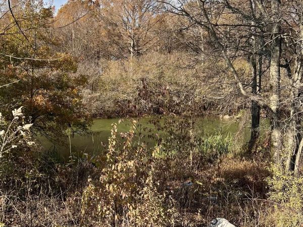 00 county road 305, Manila, AR 72442