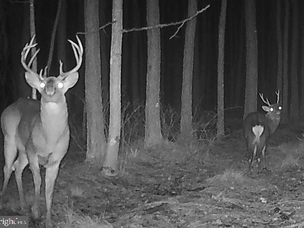 007 MUDDY HOLE ROAD, TYASKIN, MD 21865