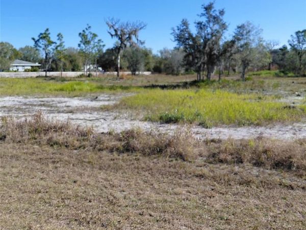 39925 20TH PLACE E, MYAKKA CITY, FL 34251