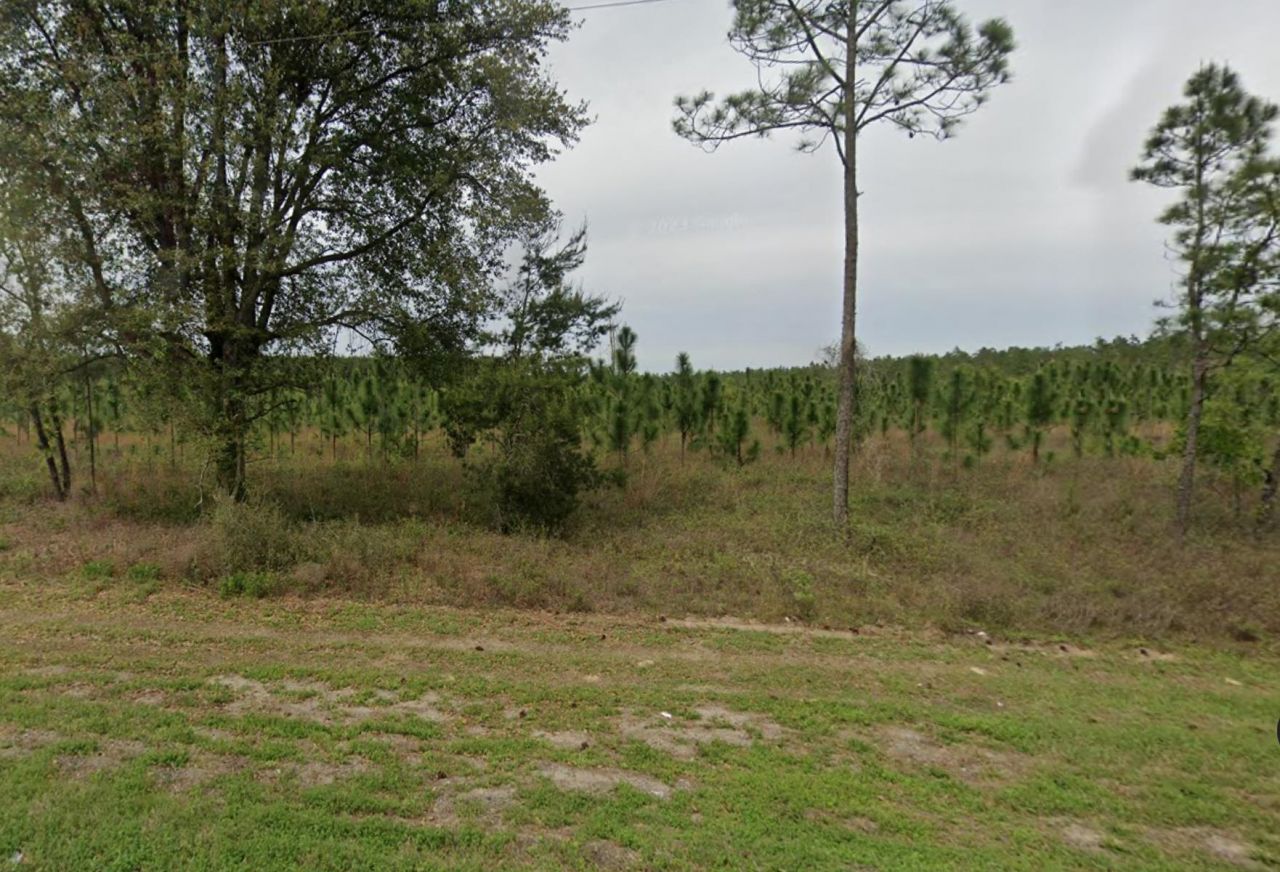 Vacant NE Us Hwy 90, Lee, FL 32059 Photo