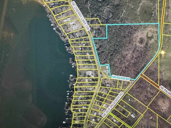 2688 NE Cherry Lake Circle, Pinetta, FL