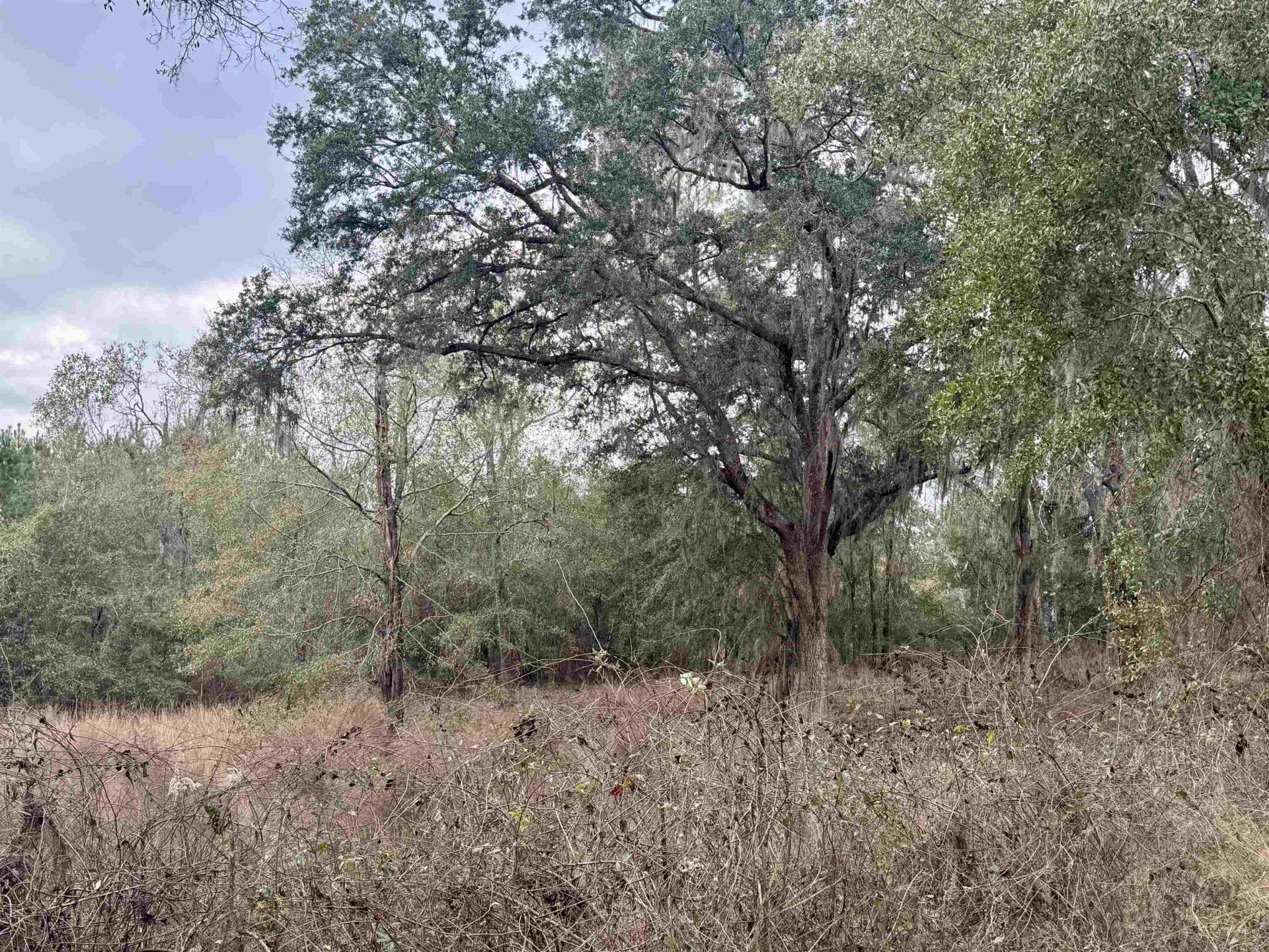 2688 NE Cherry Lake Circle, Pinetta, FL 00000 Photo