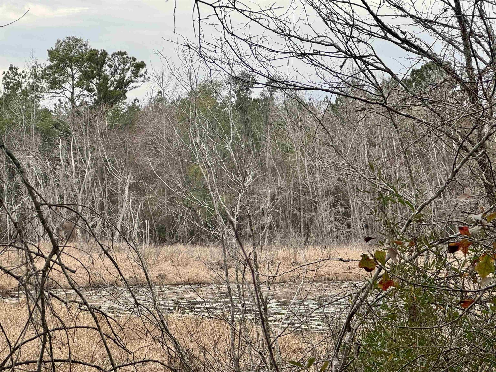 2688 NE Cherry Lake Circle, Pinetta, FL 00000 Photo