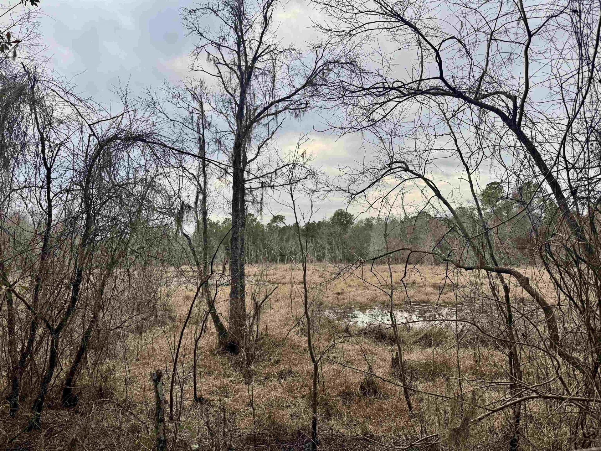 2688 NE Cherry Lake Circle, Pinetta, FL 00000 Photo