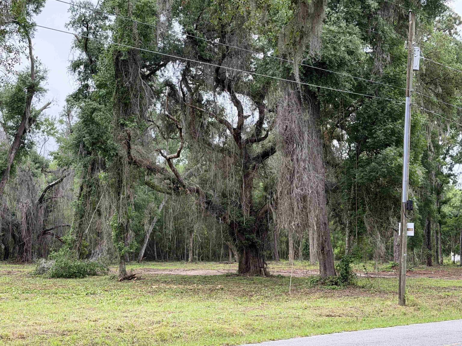 2688 NE Cherry Lake Circle, Pinetta, FL 00000 Photo