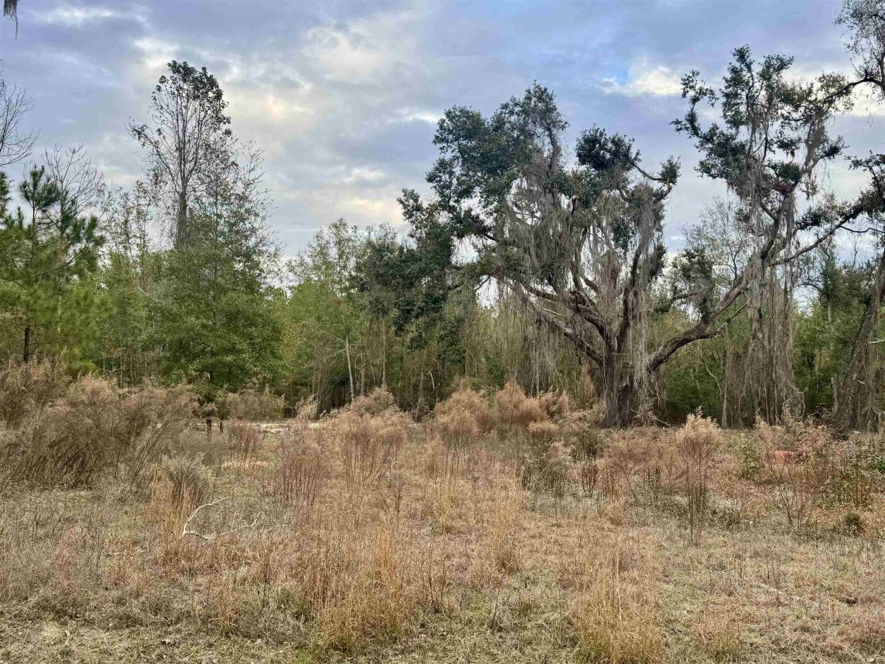 2688 NE Cherry Lake Circle, Pinetta, FL 00000 Photo