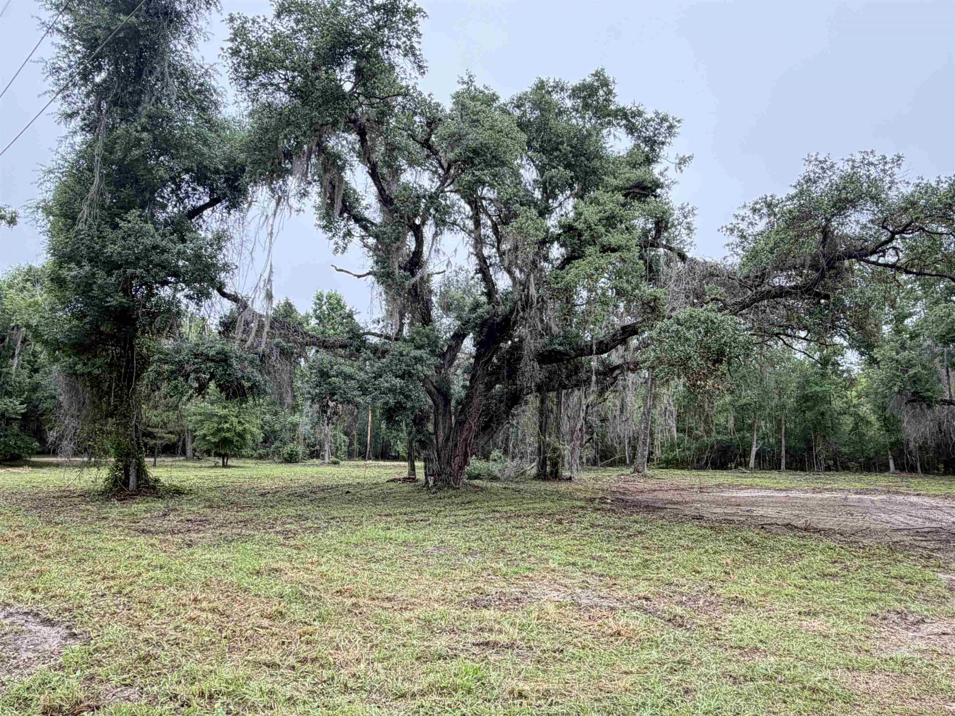 2688 NE Cherry Lake Circle, Pinetta, FL 00000 Photo
