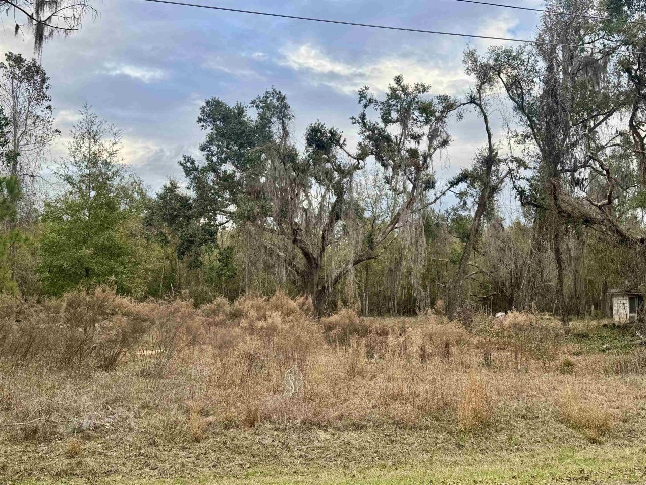 2688 NE Cherry Lake Circle, Pinetta, FL 00000 Photo