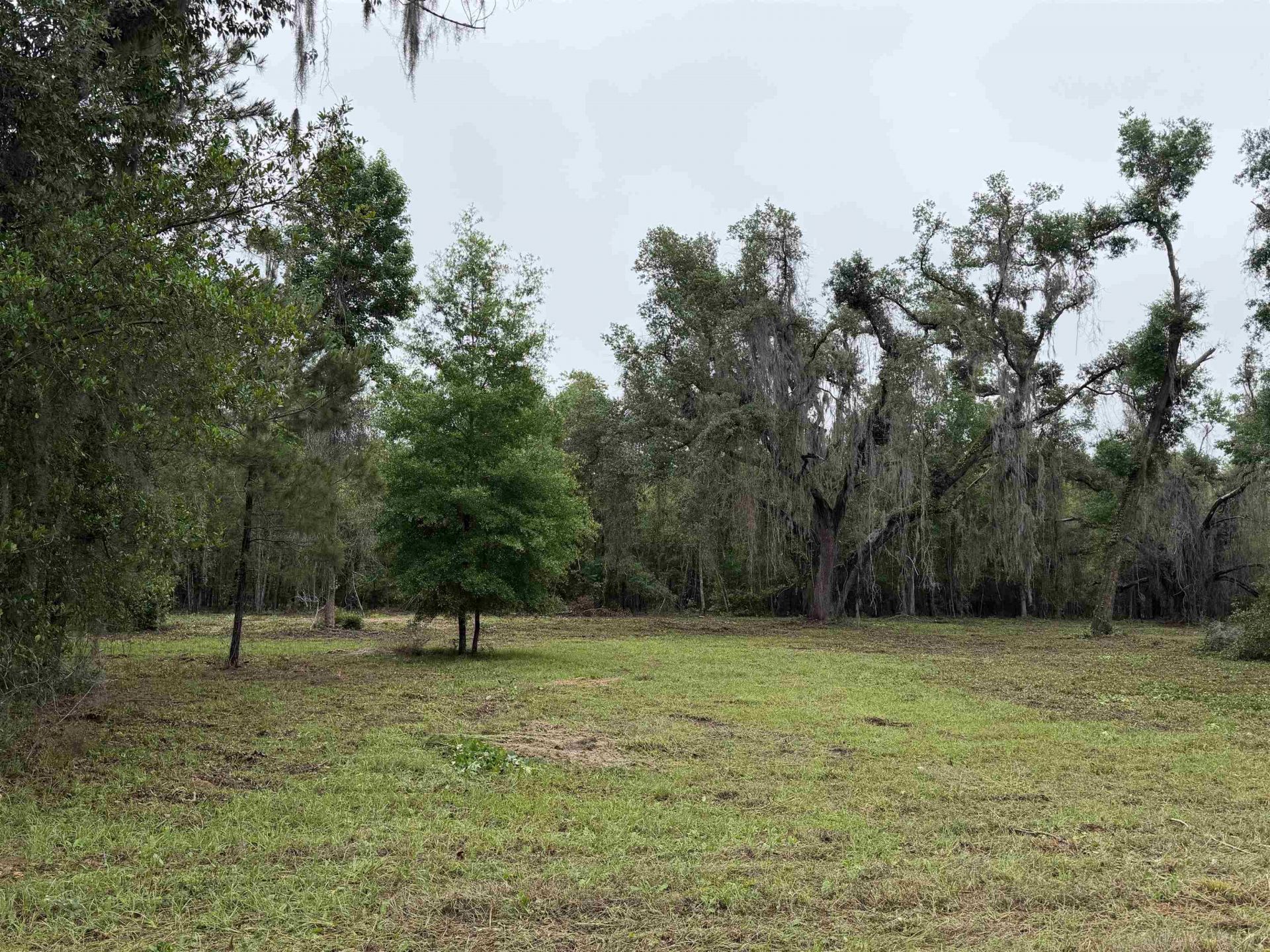 2688 NE Cherry Lake Circle, Pinetta, FL 00000 Photo