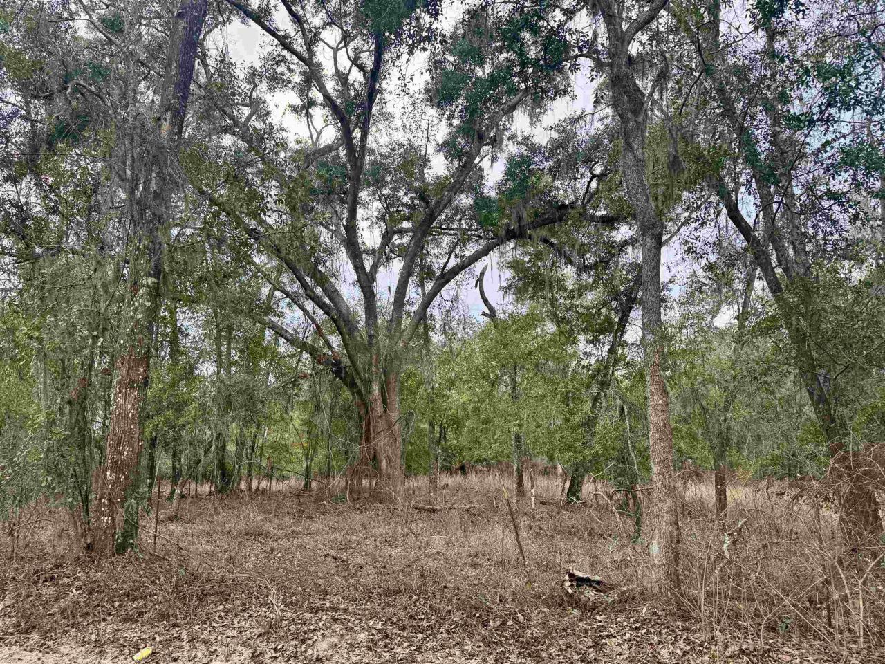 2688 NE Cherry Lake Circle, Pinetta, FL 00000 Photo