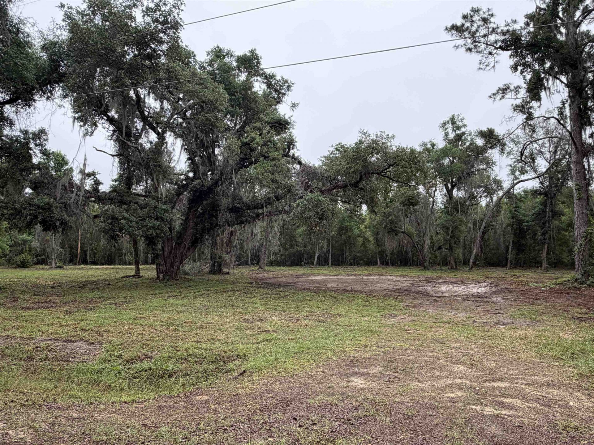 2688 NE Cherry Lake Circle, Pinetta, FL 00000 Photo