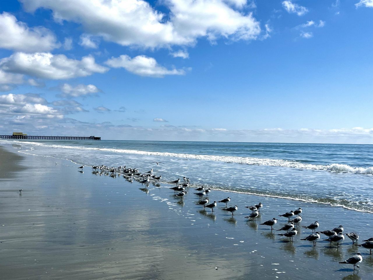 9500 Shore Dr. Photo 21