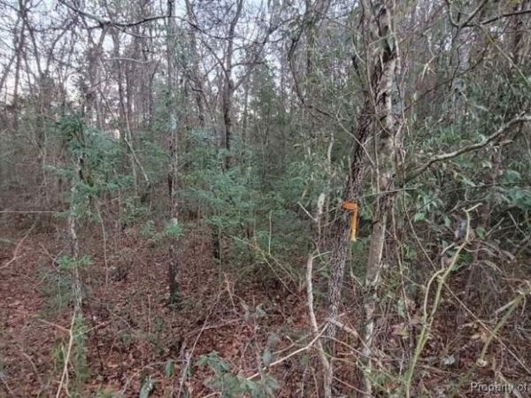 0 Melie Lee Road, Unit 1, Fayetteville, NC 28312