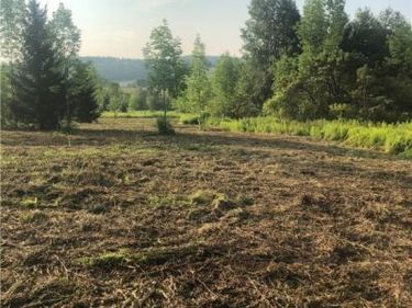 Midlum Road, Truxton, NY 13158