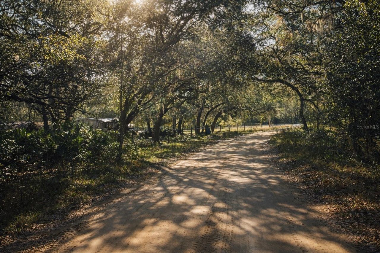 202 Mimosa Drive, Hawthorne, FL 32640 Main Photo