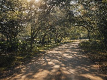 202 MIMOSA DRIVE, HAWTHORNE, FL 32640