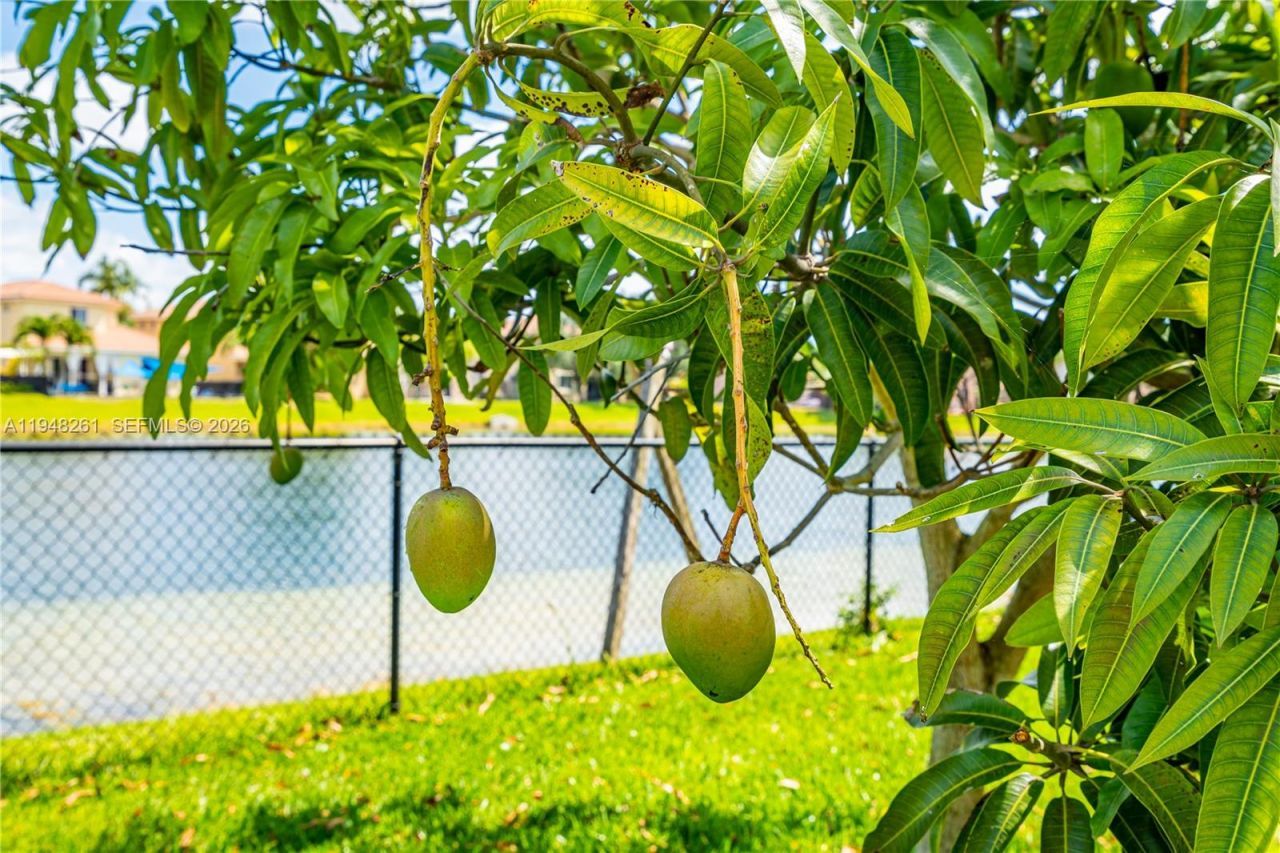 151 SE 22nd Ave, Homestead, FL 33033 Photo