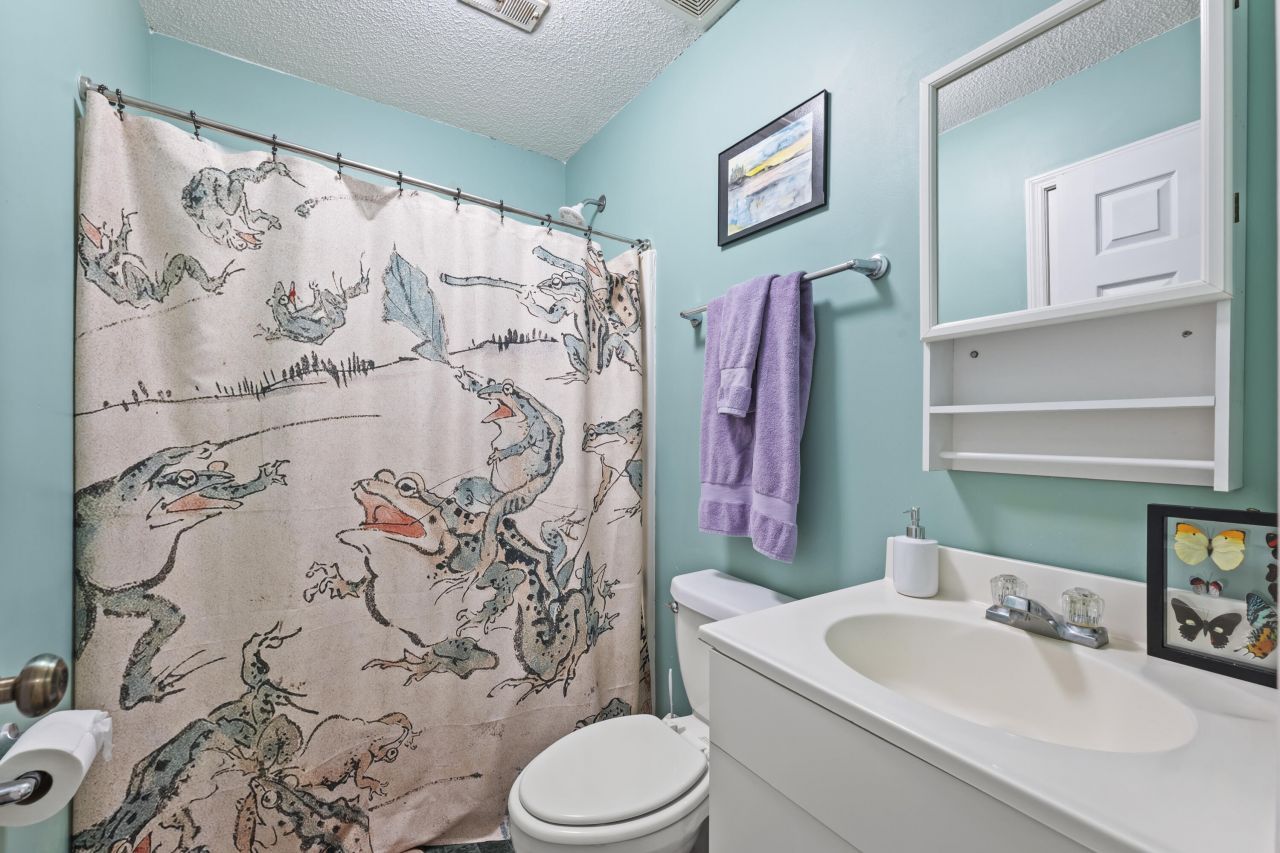 1272 French Santee Road Photo 17