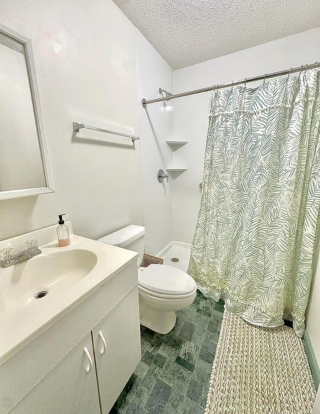 1272 French Santee Road Photo 22