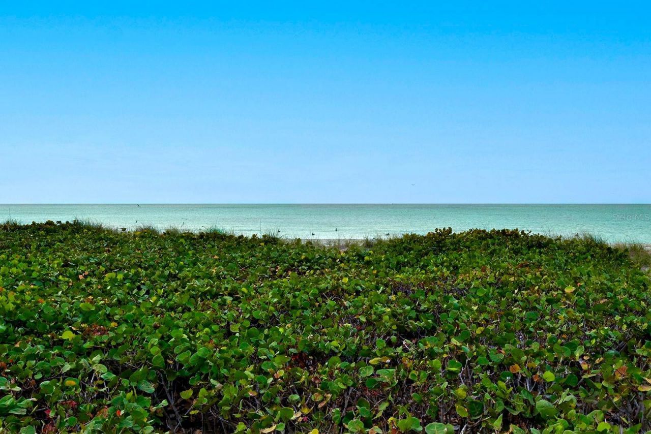 550 Flamingo Drive, Unit 202, Venice, FL 34285 Photo