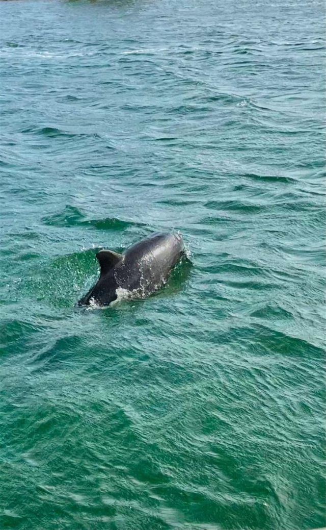 1358 Moonmist Drive, Unit B4, Sarasota, FL 34242 Photo