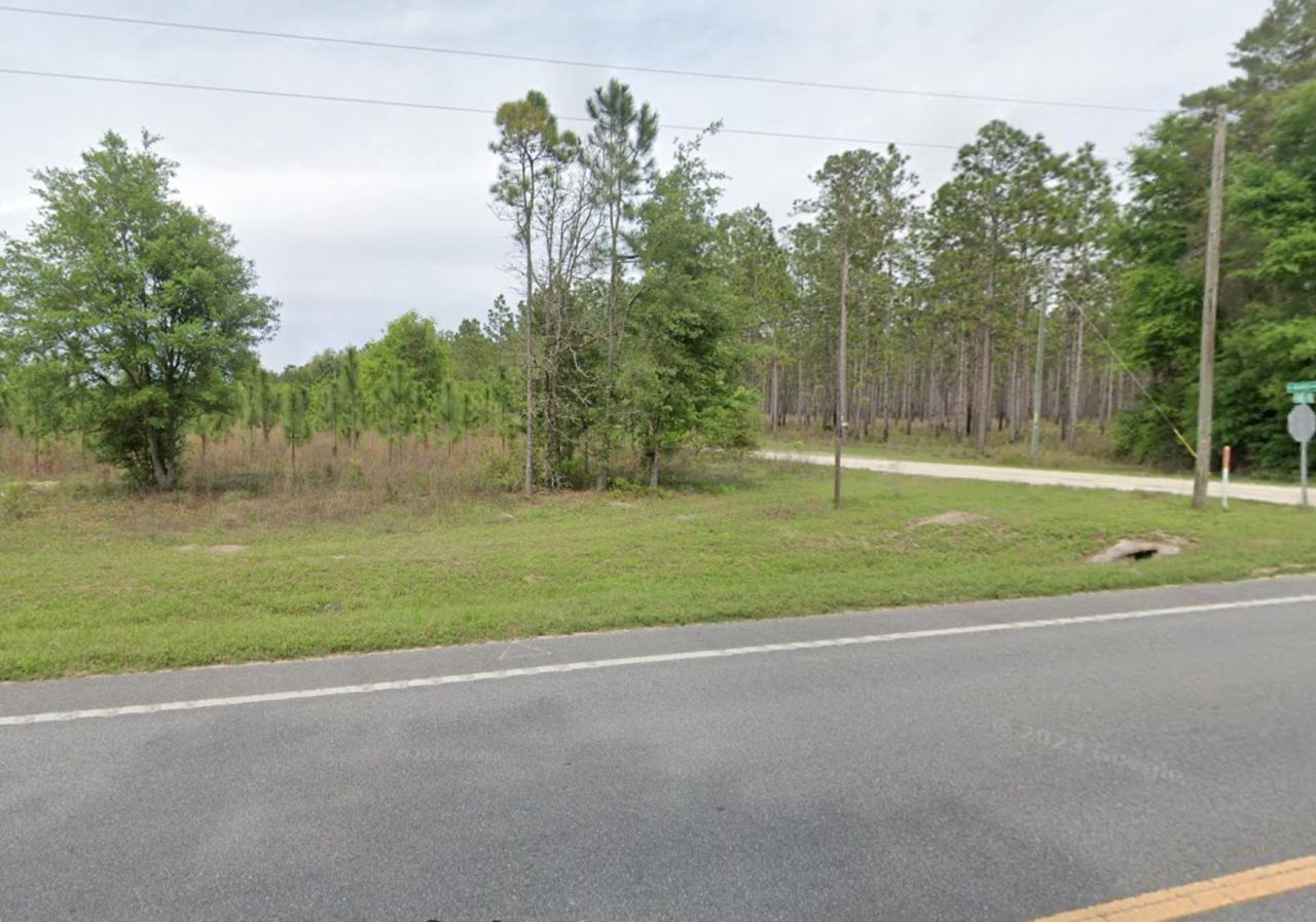 Vacant NE Mango Avenue, Lee, FL 32059 Photo