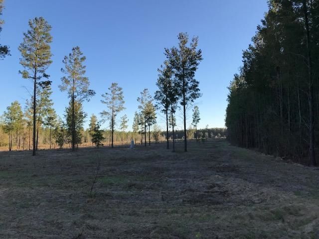 Vacant NE Mango Avenue, Lee, FL 32059 Photo