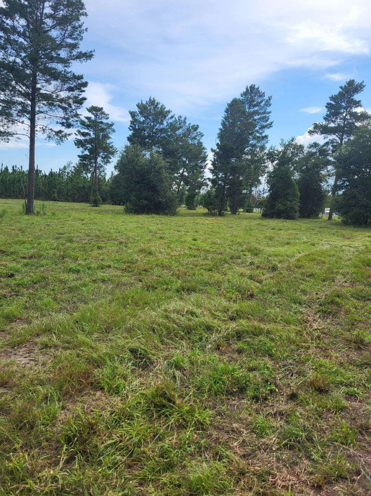 Vacant NE Mango Avenue, Lee, FL 32059 Photo