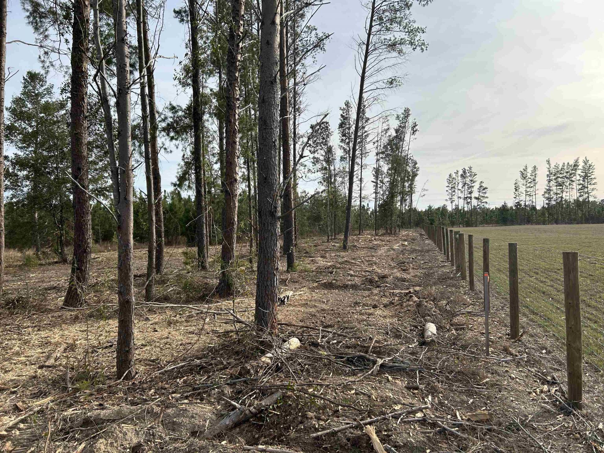 Vacant NE Mango Avenue, Lee, FL 32059 Photo