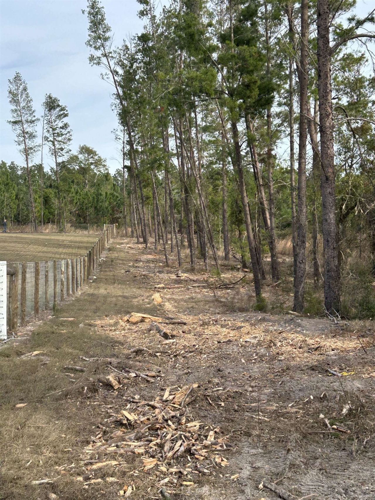 Vacant NE Mango Avenue, Lee, FL 32059 Photo