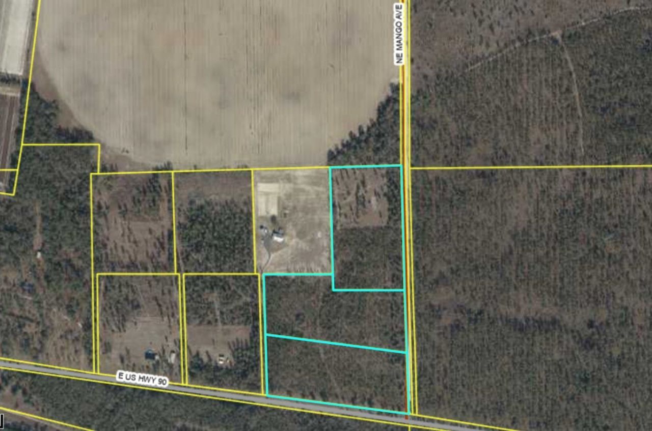 Vacant NE Mango Avenue, Lee, FL 32059 Photo