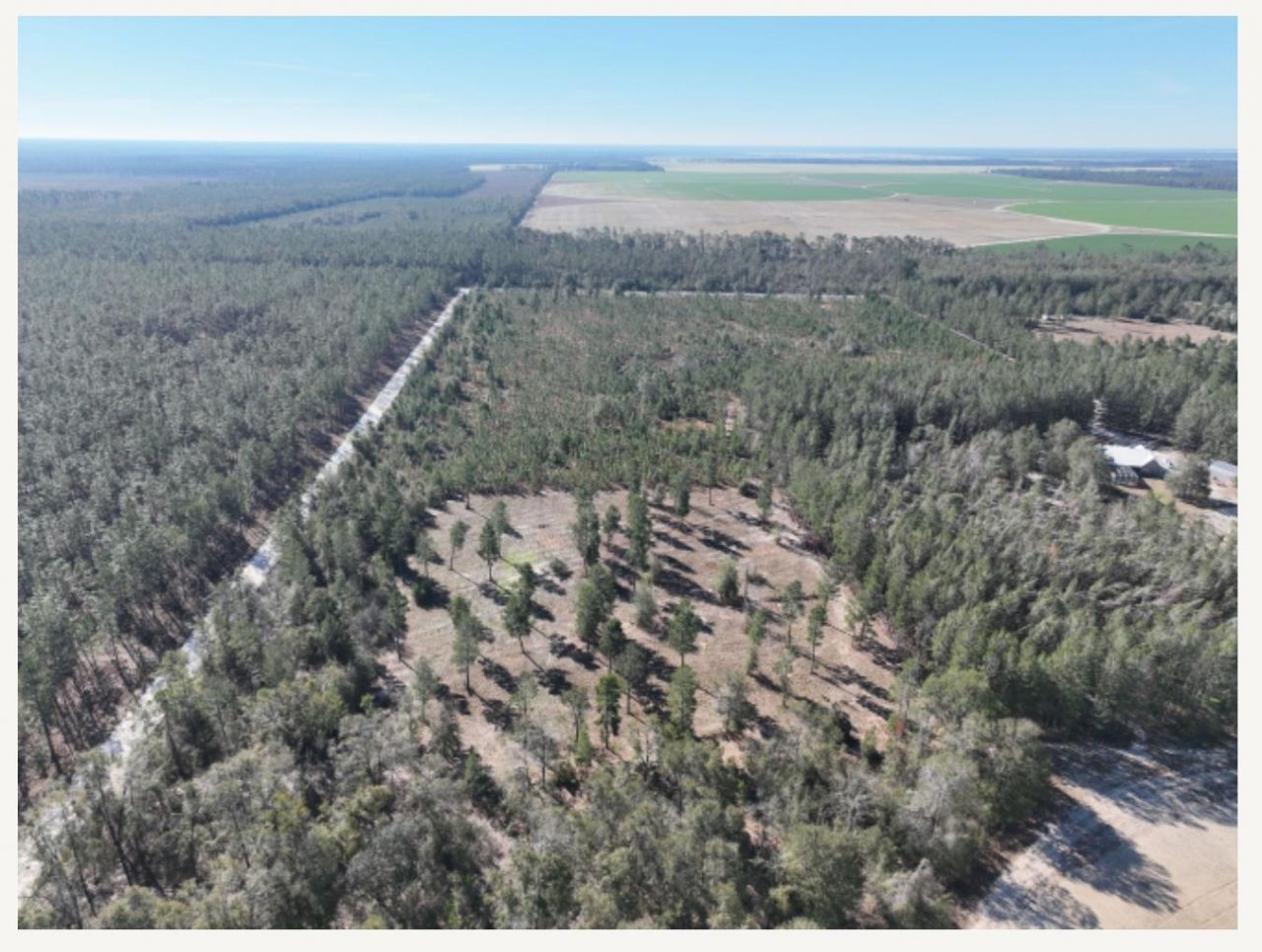 Vacant NE Mango Avenue, Lee, FL 32059 Photo