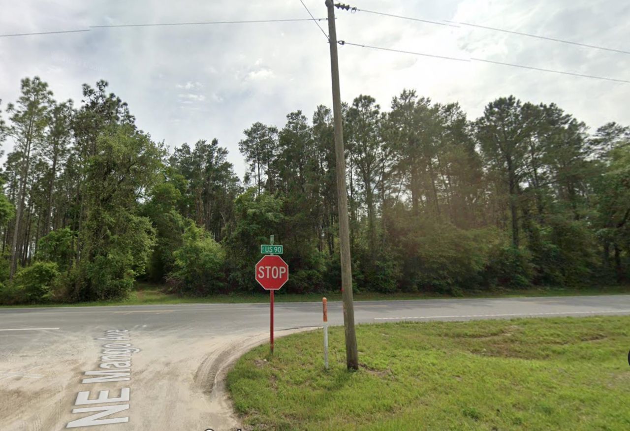 Vacant NE Mango Avenue, Lee, FL 32059 Photo