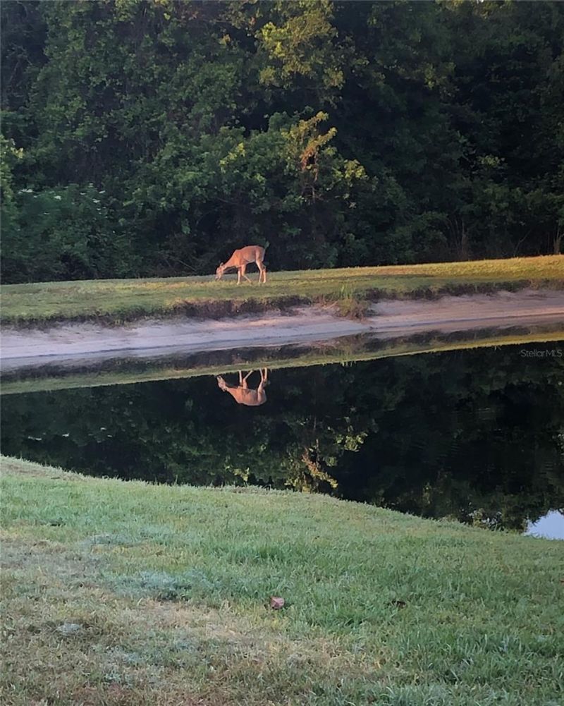 748 Winslow Park, Tarpon Springs, FL 34688 Photo