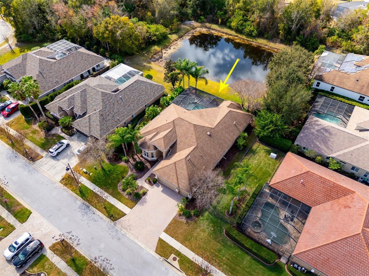 748 Winslow Park, Tarpon Springs, FL 34688 Photo