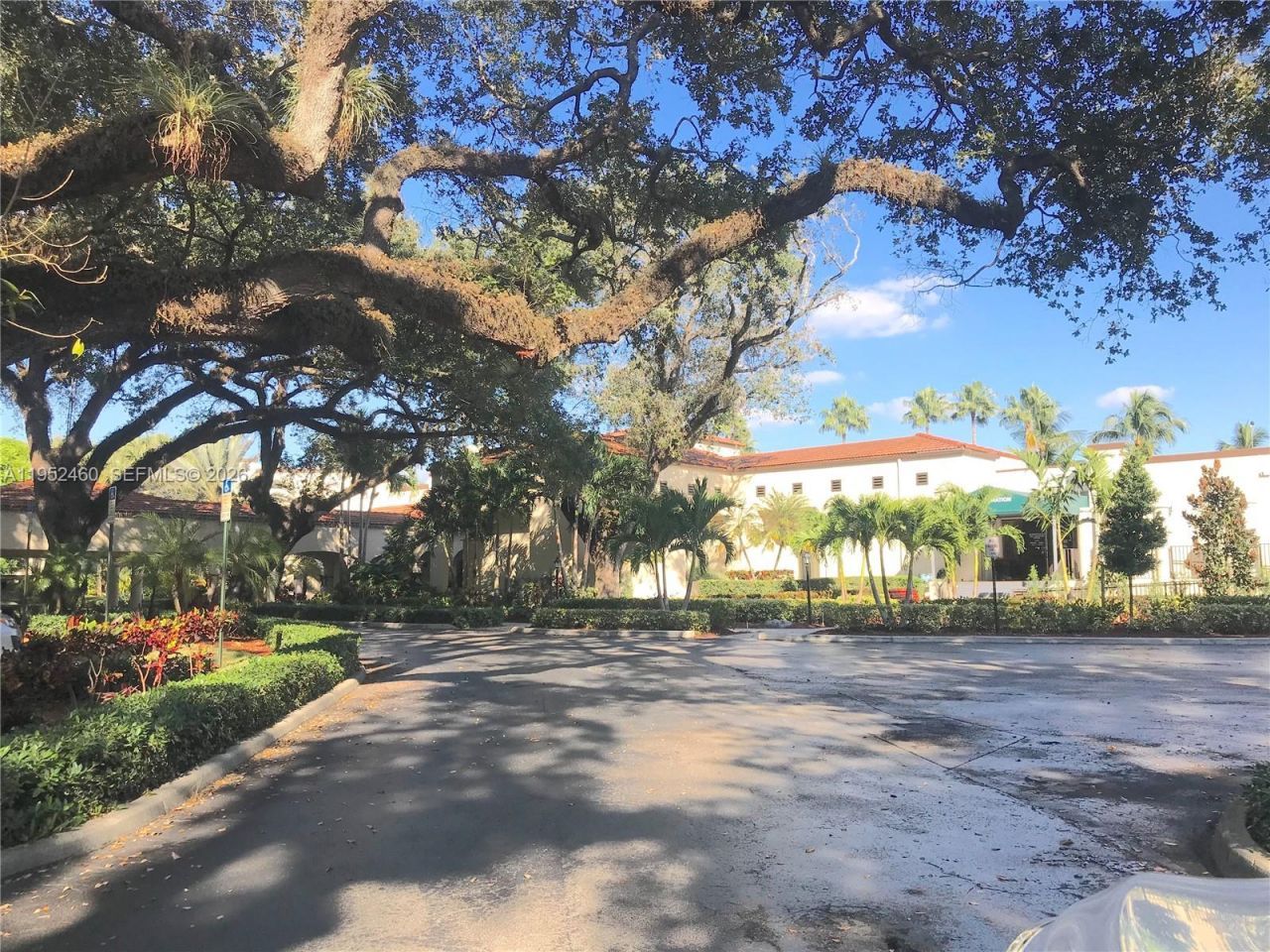 1703 Whitehall Dr, Unit 306, Davie, FL 33324 Photo